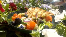 Sałatka z łososiem